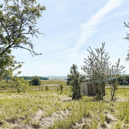 Le Val Suzenay Pension Vendeuvre-sur-Barse Buitenkant foto