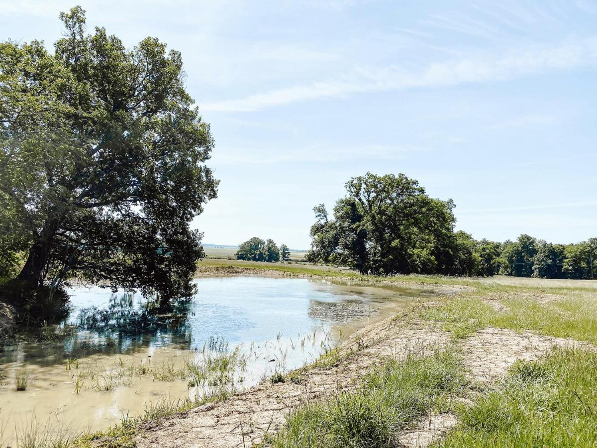 Le Val Suzenay Pension Vendeuvre-sur-Barse Buitenkant foto