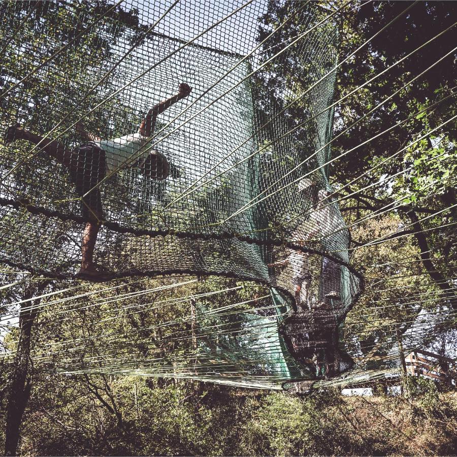 Le Val Suzenay Pension Vendeuvre-sur-Barse Buitenkant foto